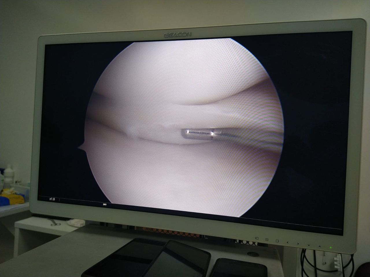 Luciano Lopes Castanha-0