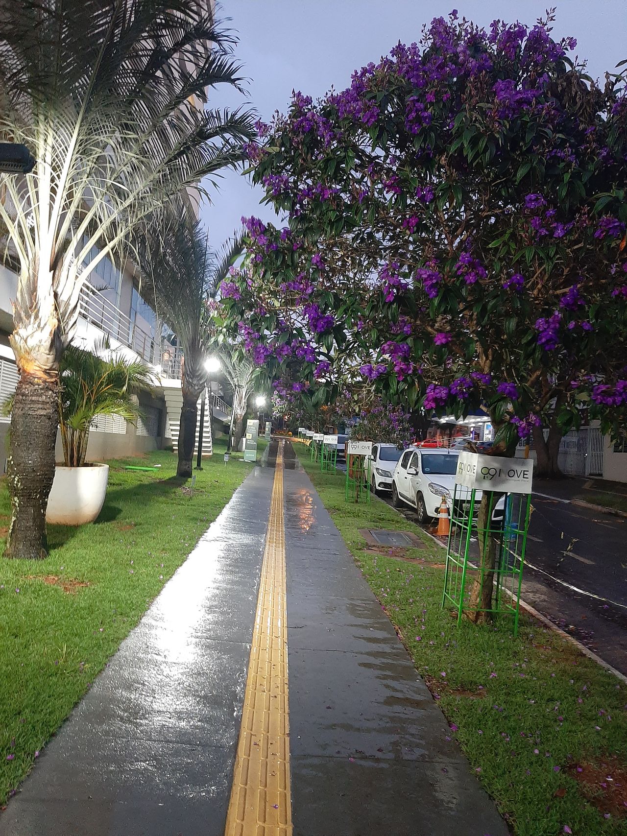 Fabiana Alves Cardoso-0