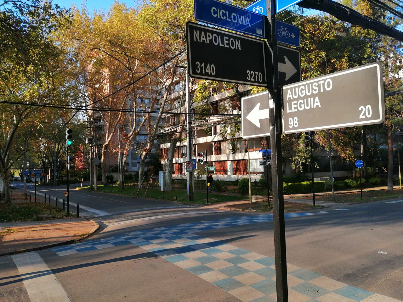 Enrique Vicentini Castillo-6