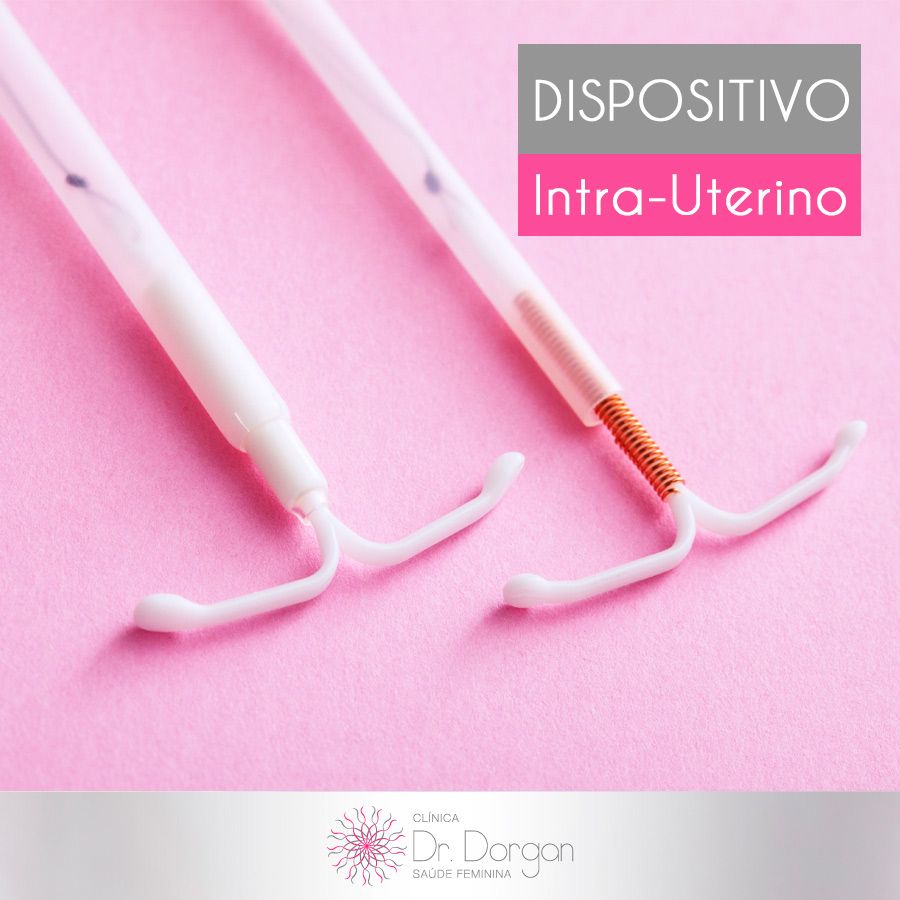 Luiz Carlos Dorgan Júnior-28