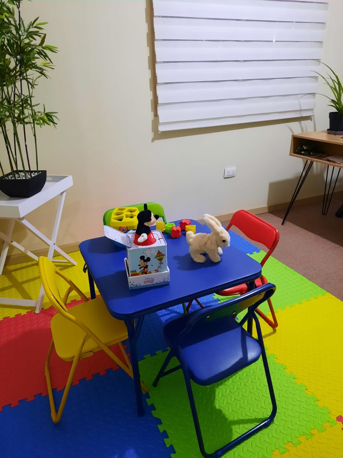 Francesca Carreño Orellana-15