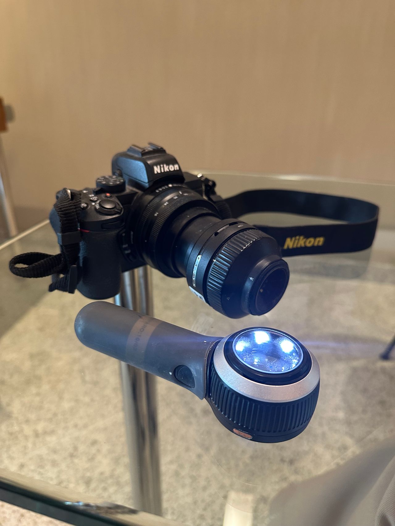 Palmira Rodrigues-10