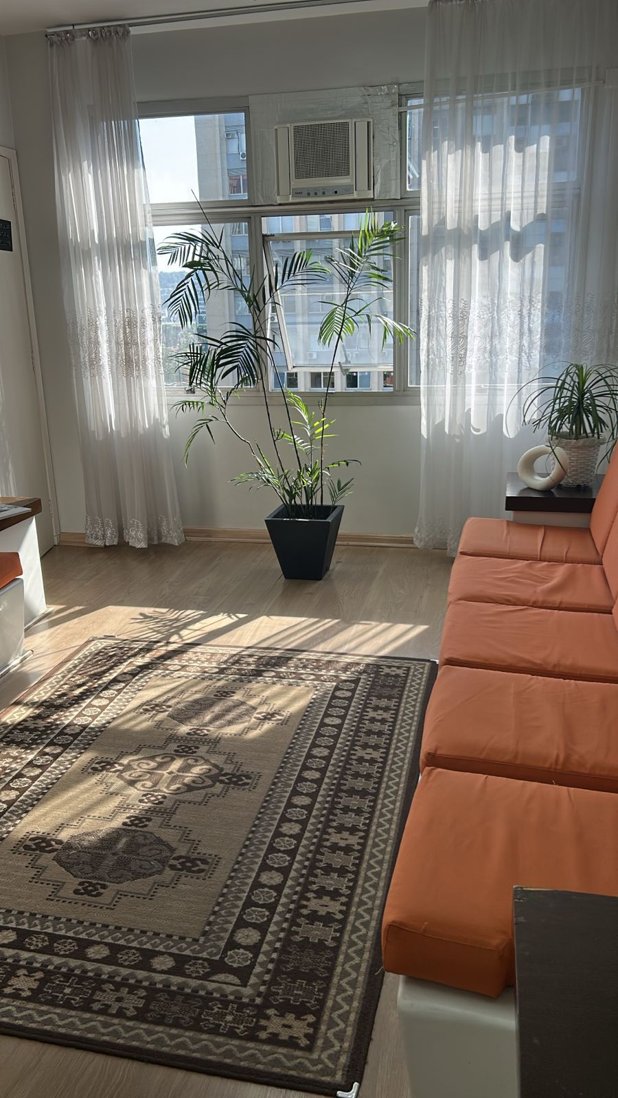 Waldomiro Pires De Camargo Junior-5