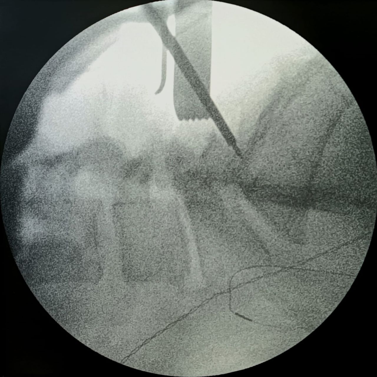 David Tafur Muñoz-1214