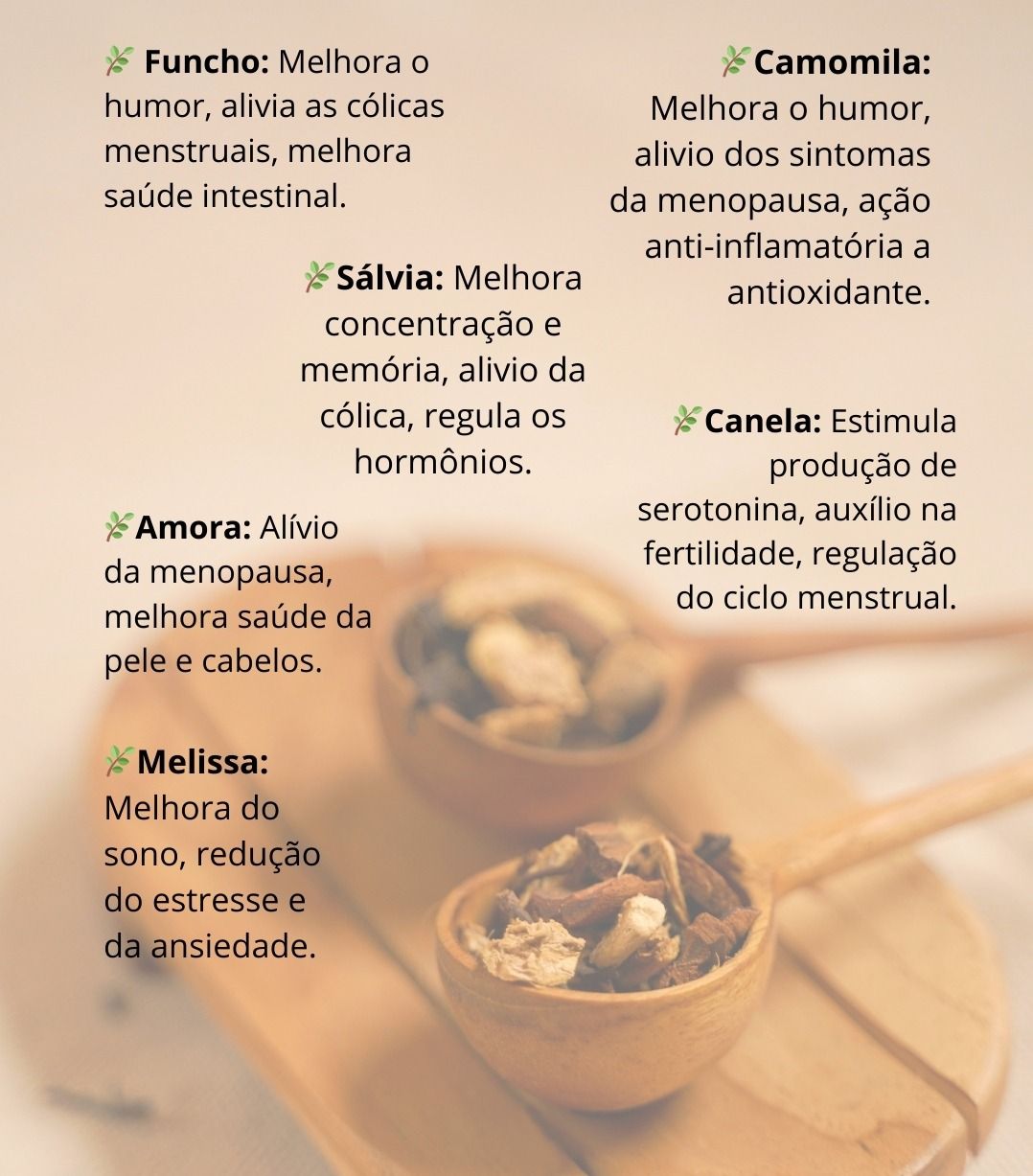 Larissa     Westin-1