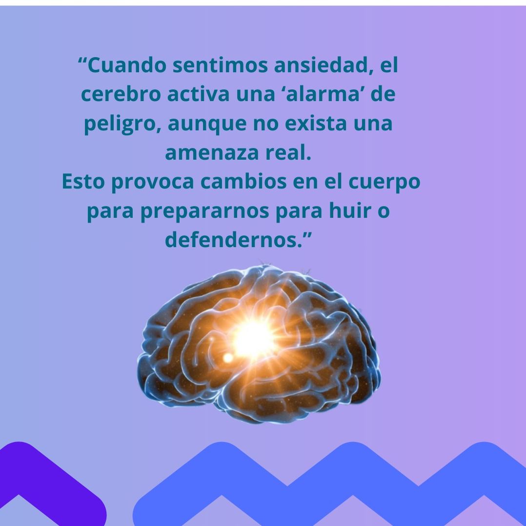 Liliana Isabel Castillo Castillo-8