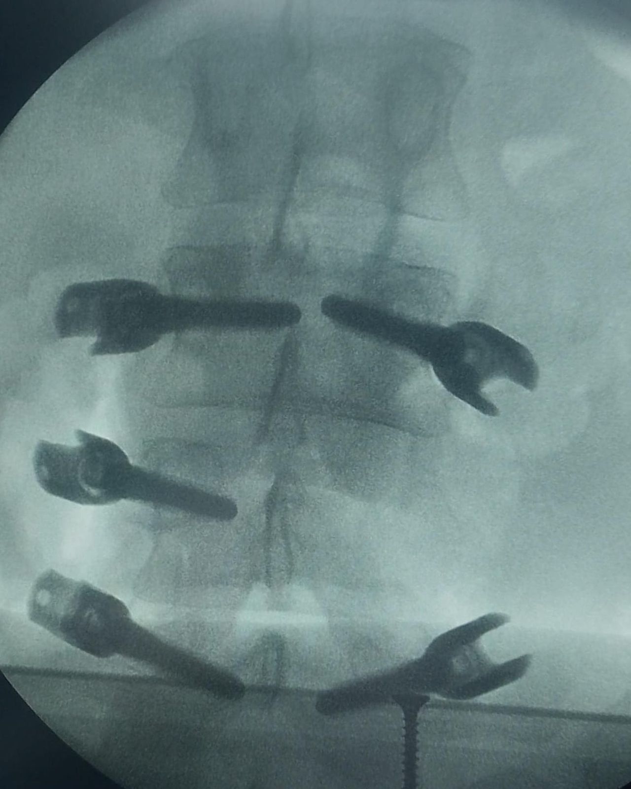 David Tafur Muñoz-1082