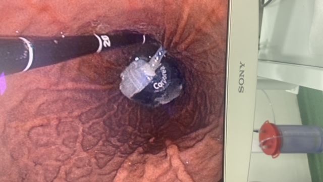 Guilherme Amadeu Poleto-50