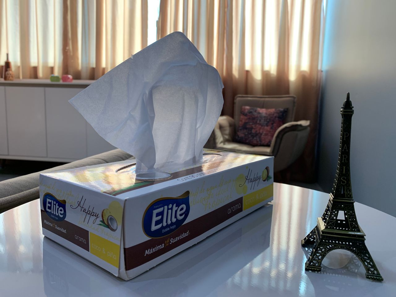 Andreia De Freitas Ferreira-3