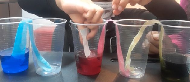 Diana Marcela Laverde Robayo-1