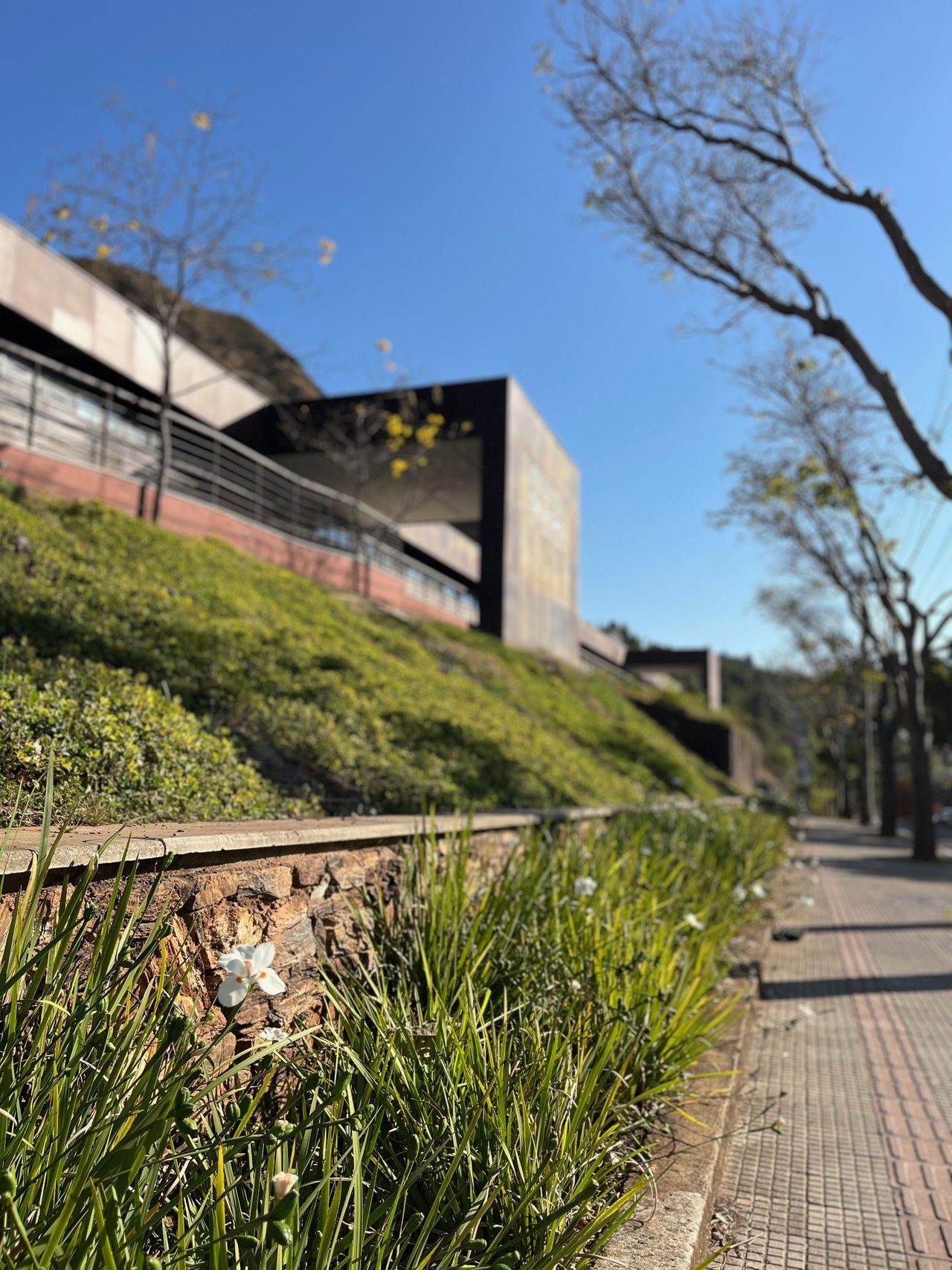 Lycia Tobias De Lacerda-12