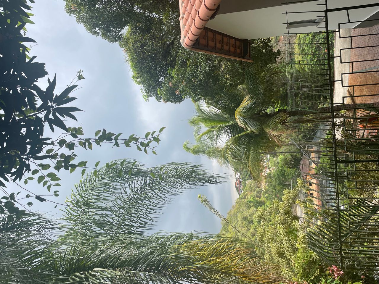 Luiza Marins Gobato-1