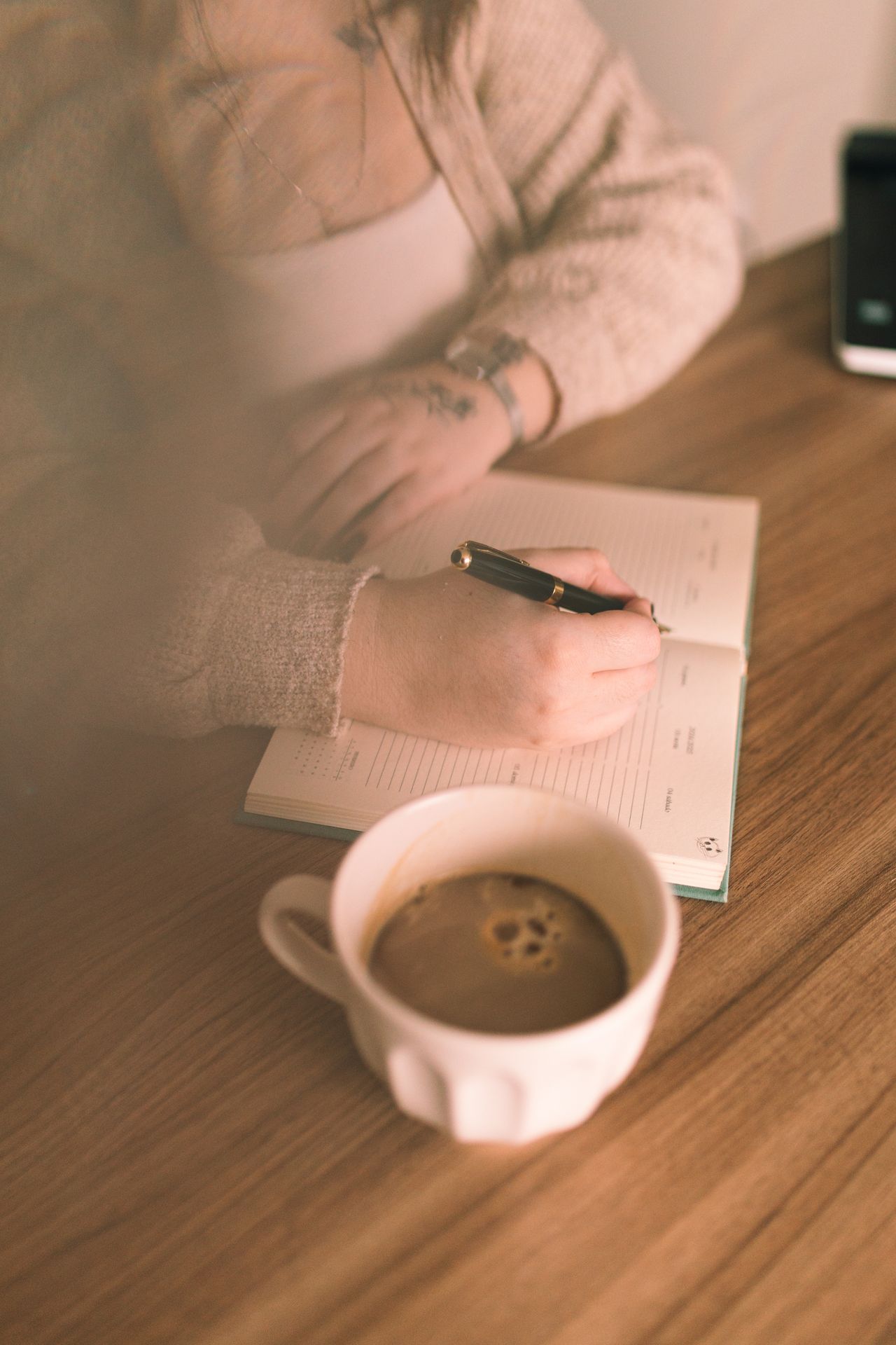 Ana Júlia S. Fabiano-1