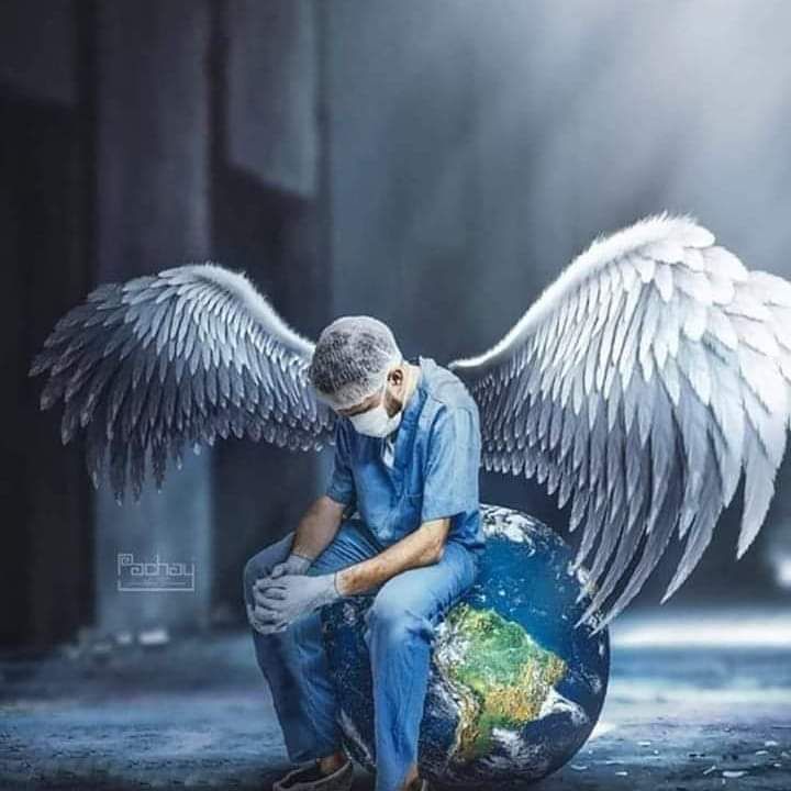 José Milton Cardoso Jr-9