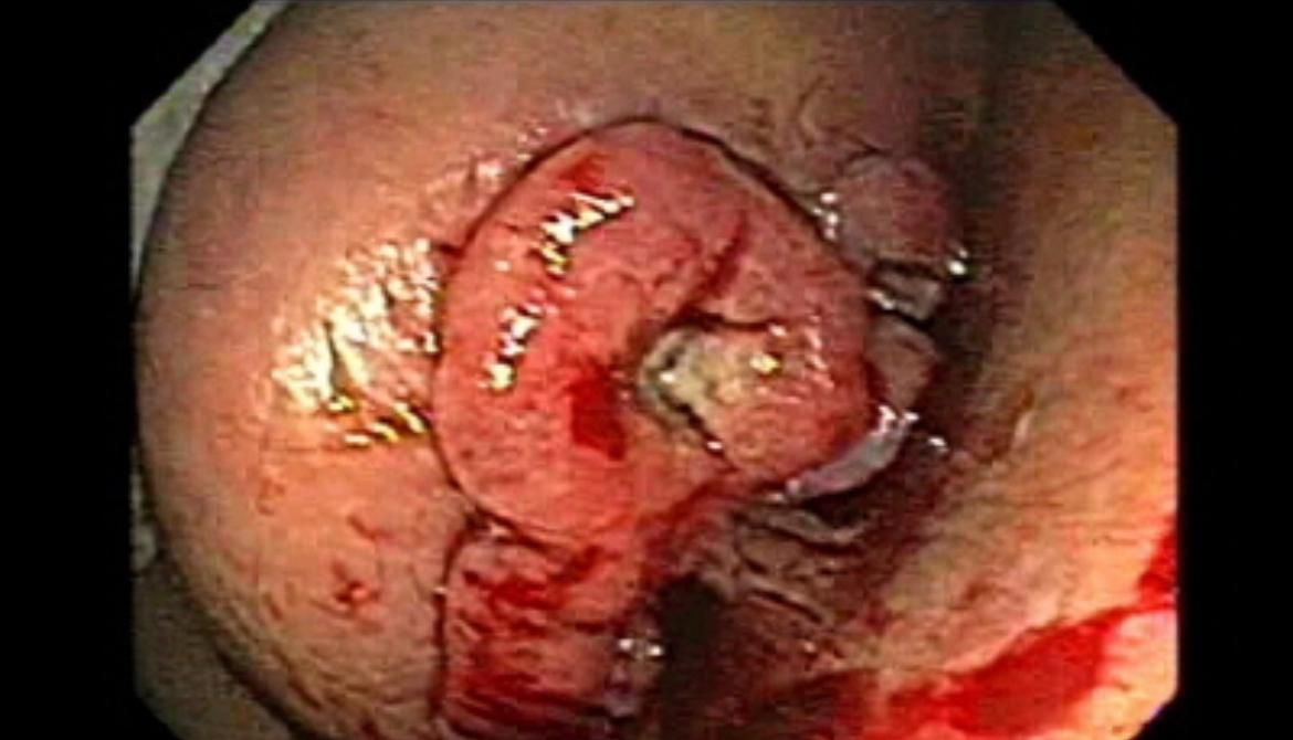 Paola Zúñiga Alarcón-3