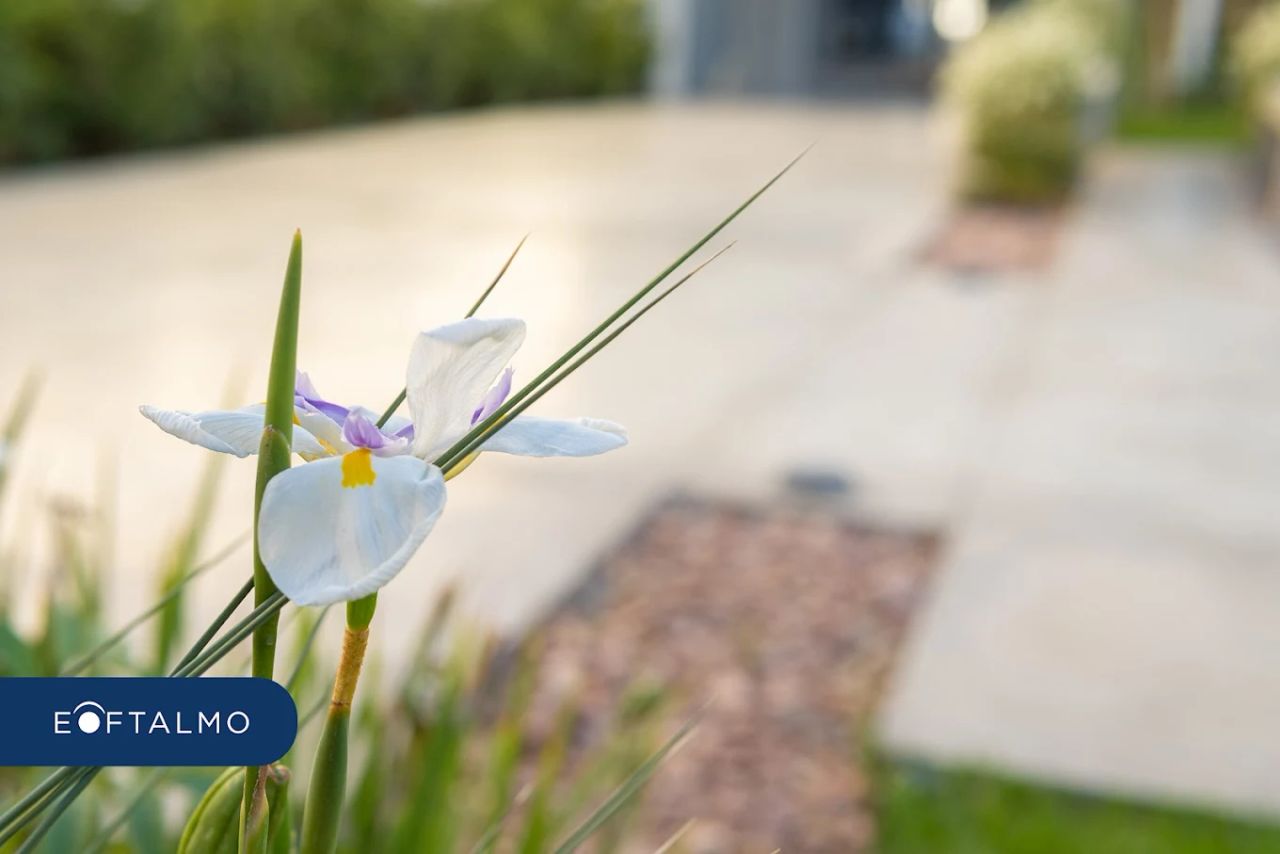 Reinaldo Germán Echavarría-4