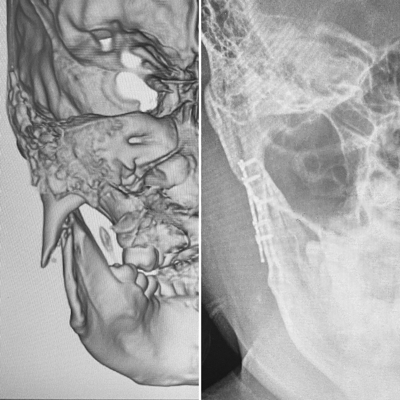 Jose Vicente Rocha Fernandez-16