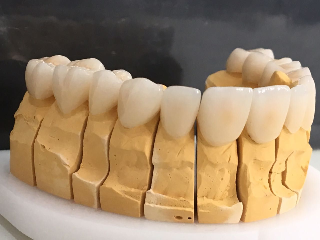 Patricia Christine Pinto-18