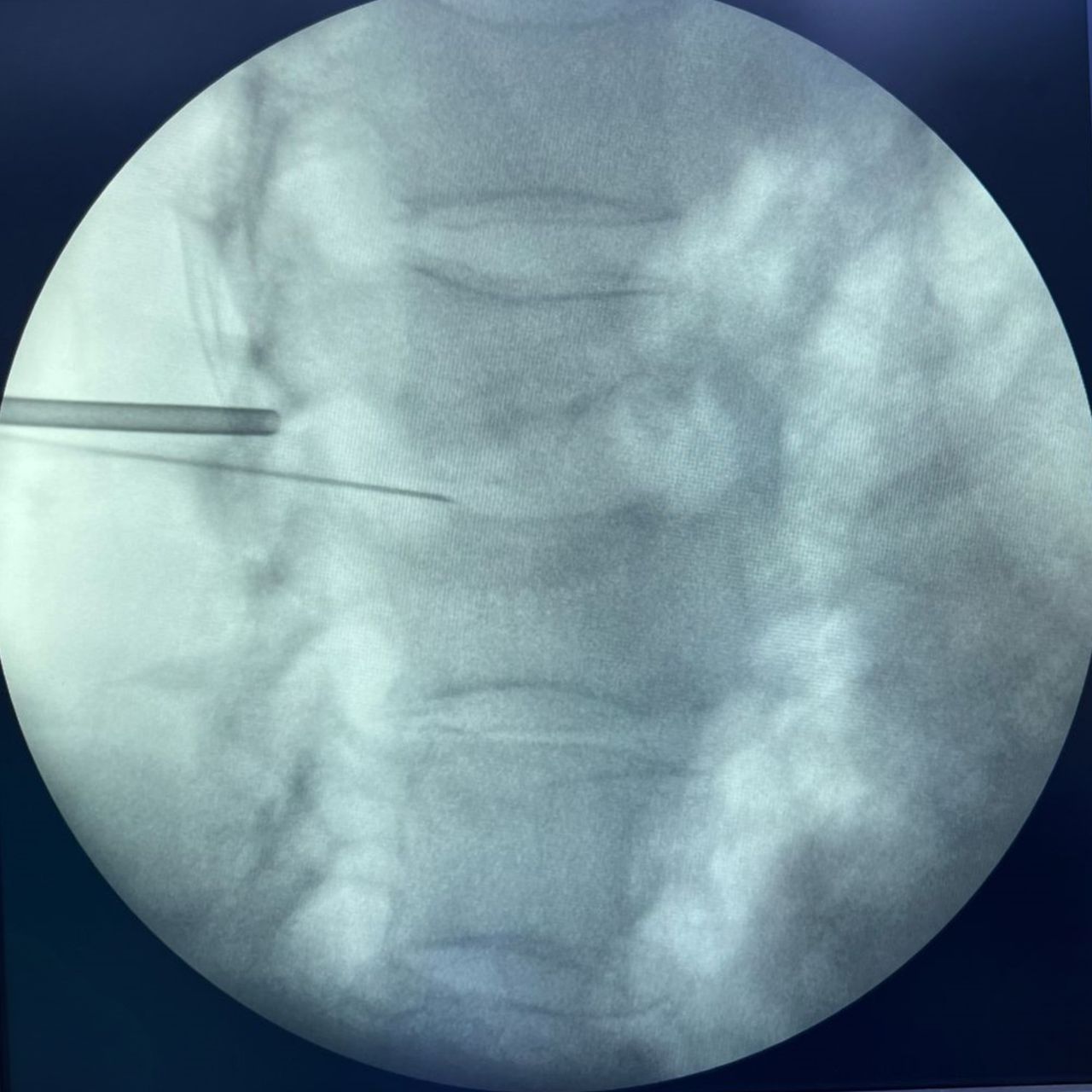 David Tafur Muñoz-1244