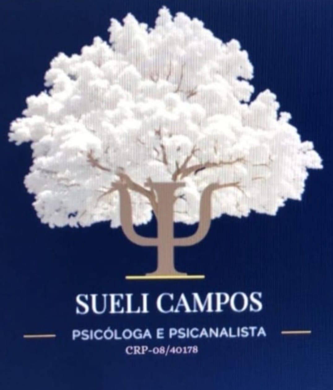 Sueli Campos-9