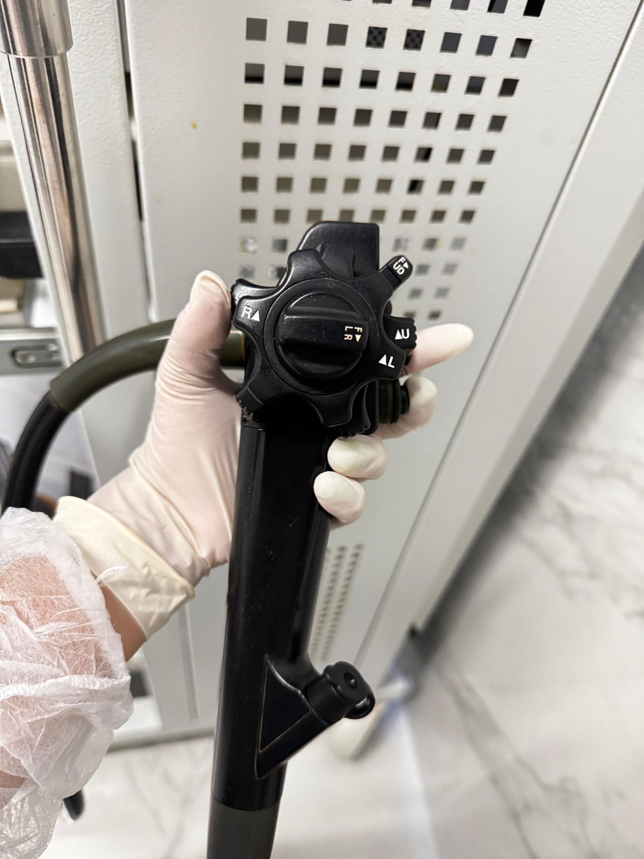 Carolina Kutscher Ulguim-2