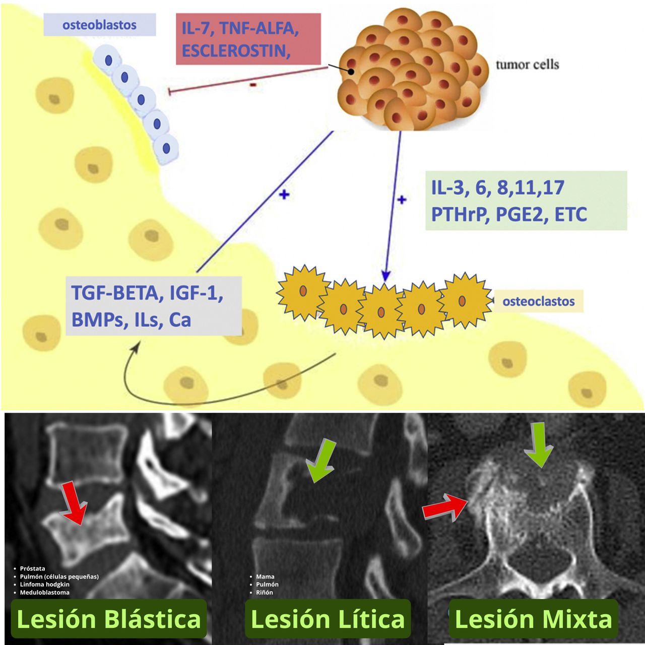 David Tafur Muñoz-1466