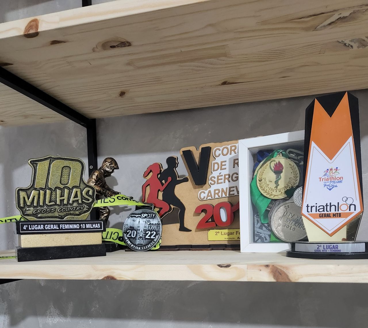 Milena Fernandes Castro-1