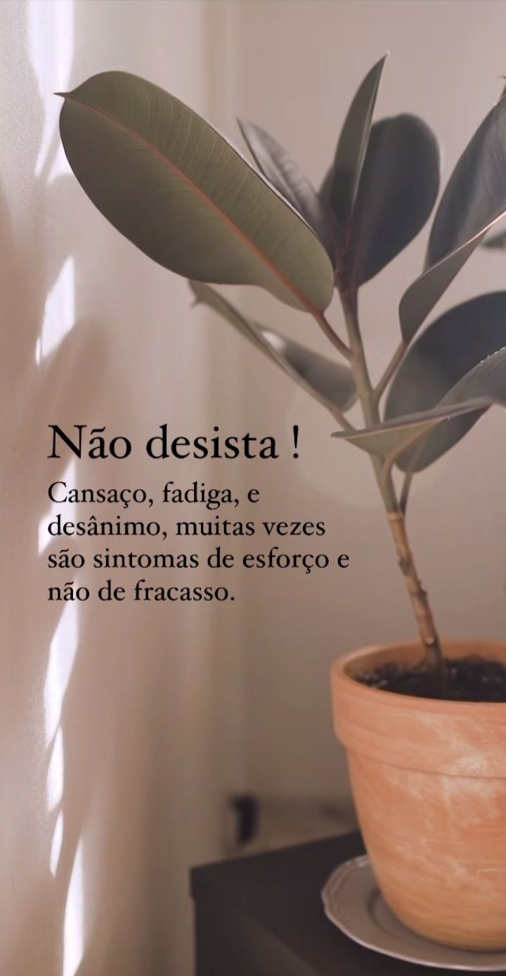 Janaína Sandra Pereira-3