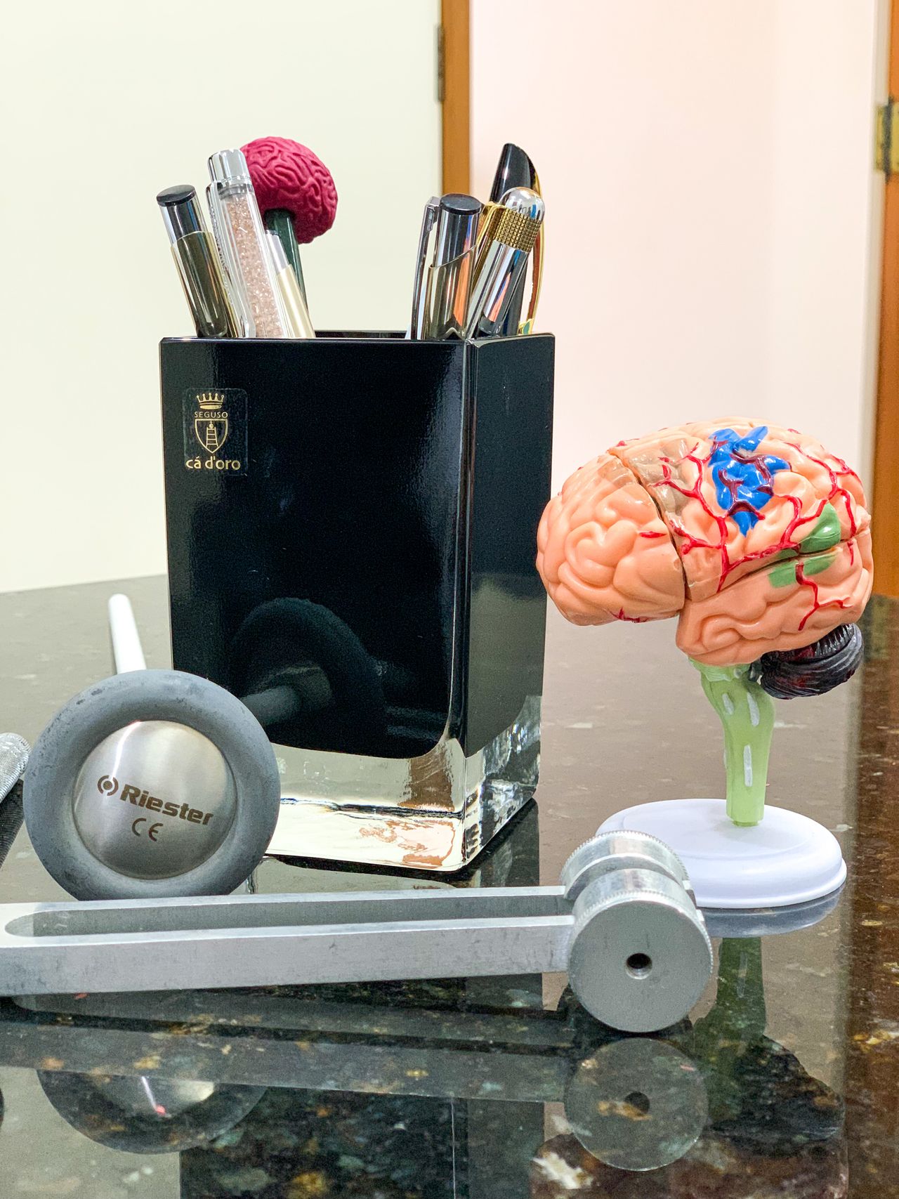 Bruna M L Villela-13