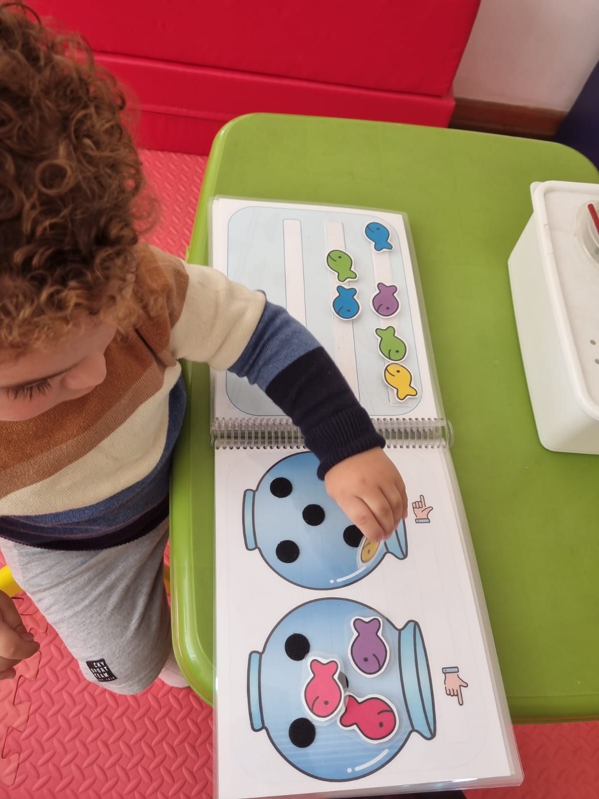 Daniela Garrido J.-29