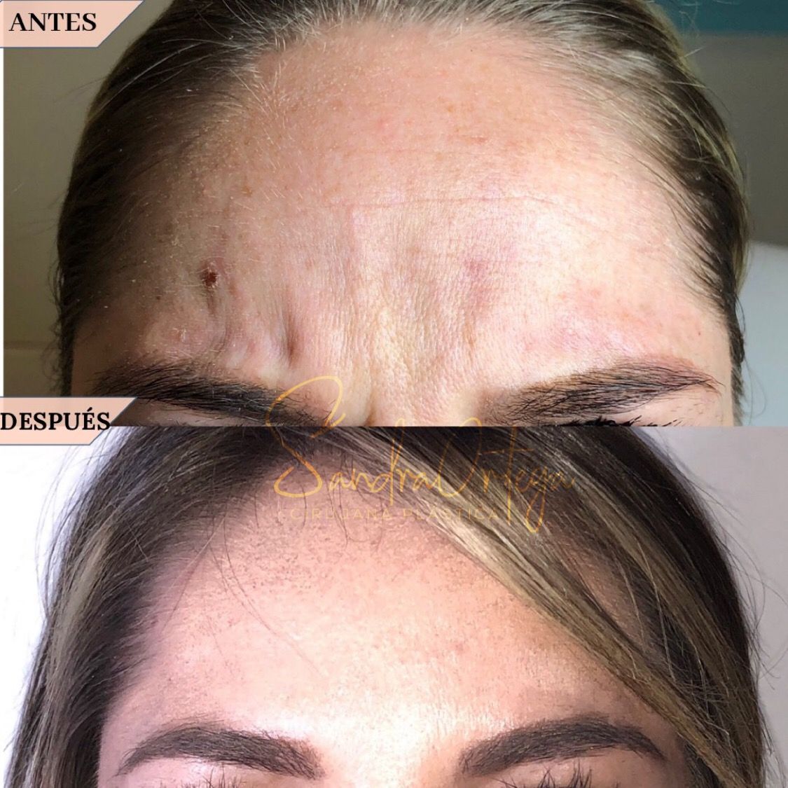 Sandra Viviana Ortega Trejos-14