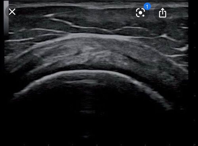 Dimitri Lovisaro Rumiantzeff-9