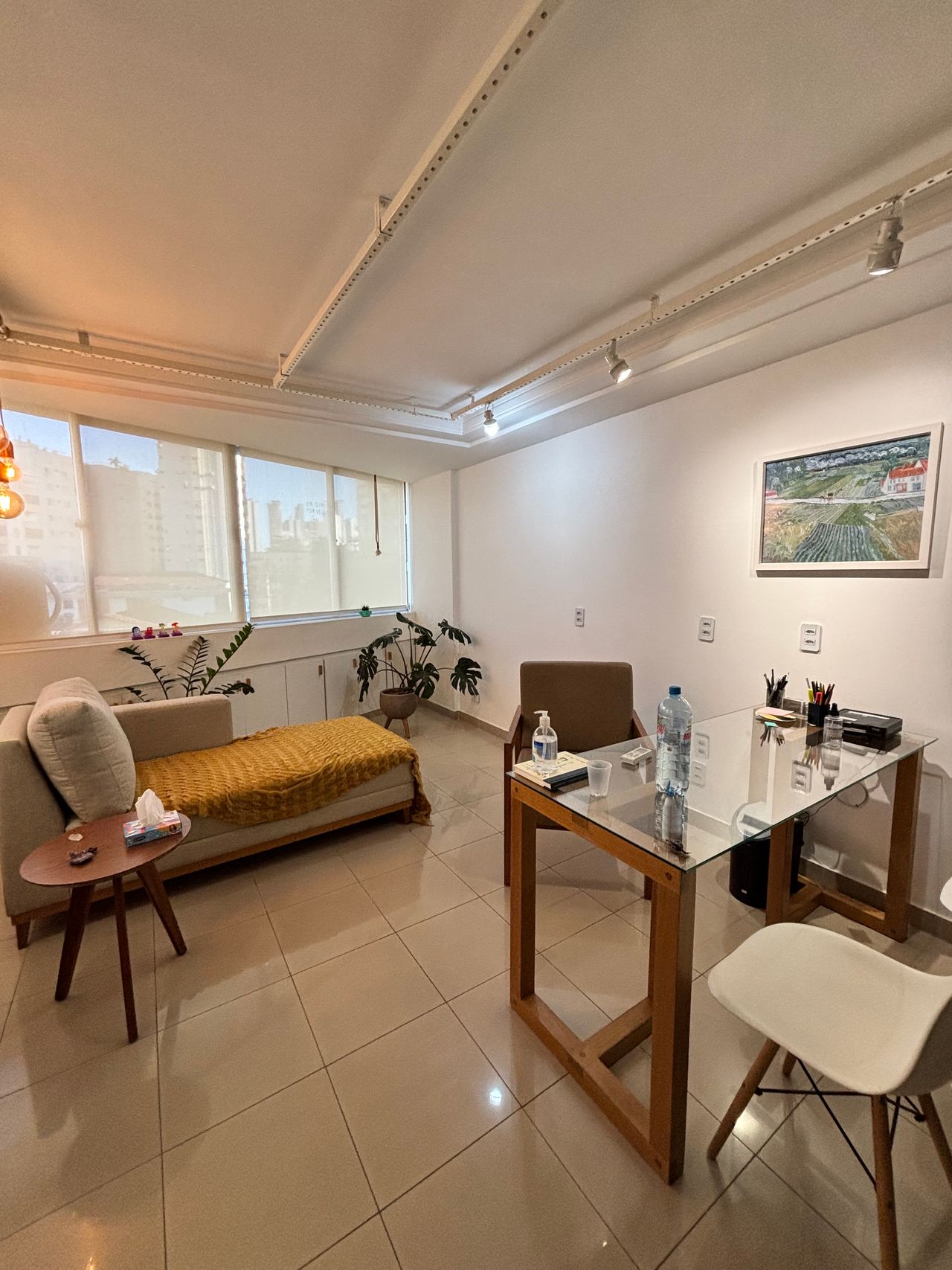 Emir Baiocchi Neto-2