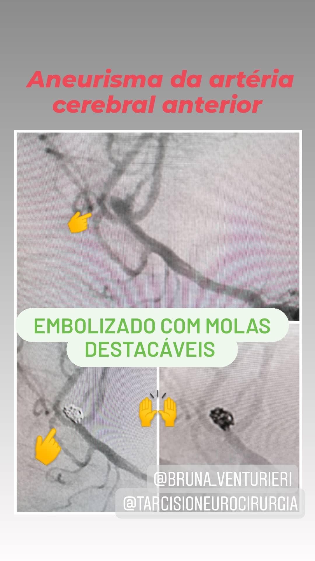 Carlos Lisboa Neto-5