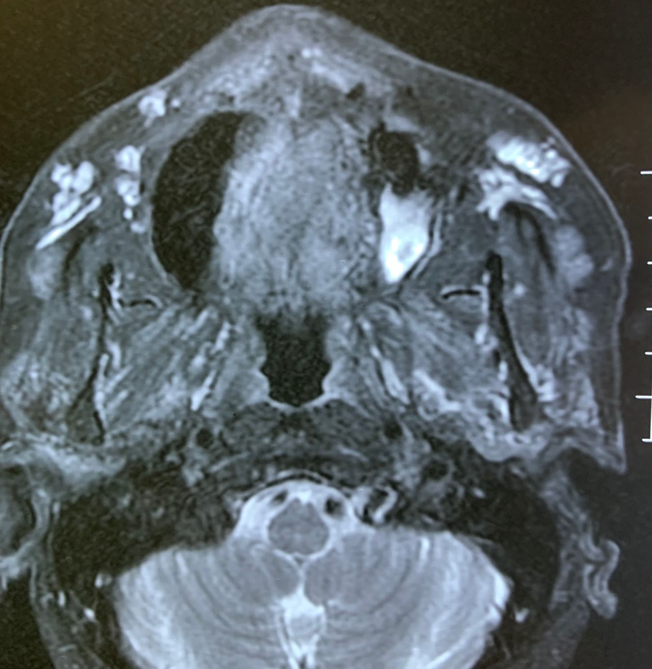 Giulianno Molina De Melo-3