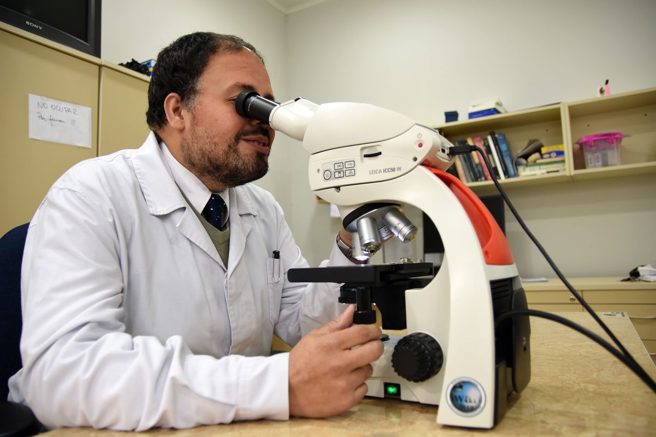 Daniel Droguett Ossa-7