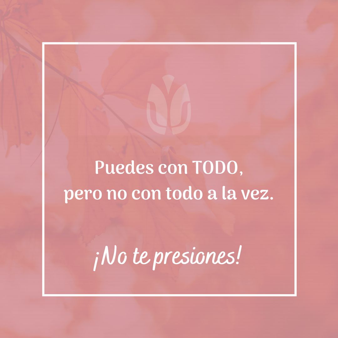 Alejandra Palacios Garcia-8