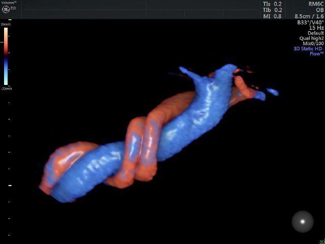 Raul Javier Banderas Pumarino-21