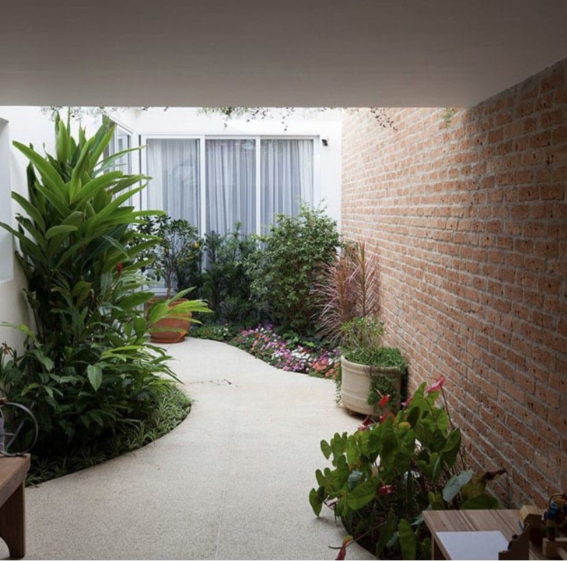 Carla Falsete Risola-0