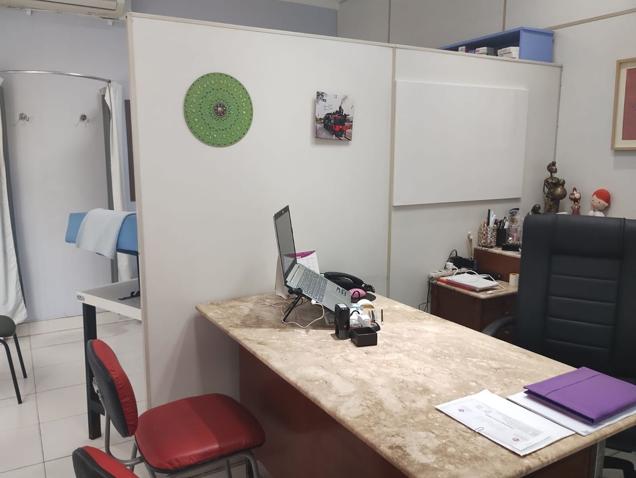 Denise  Werneck Goldenberg Sereno-0