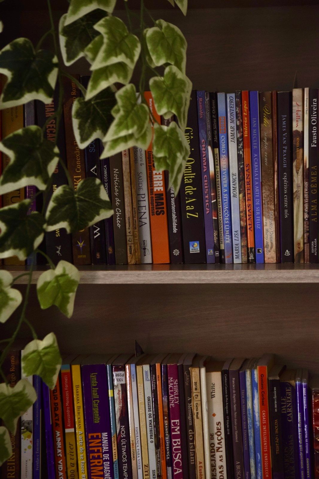 Mariane Massaferro Higino-7