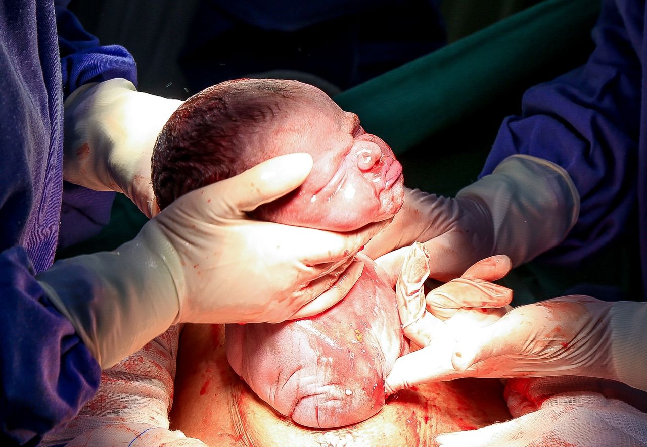 Fernanda Laranjeira Mendonça-4