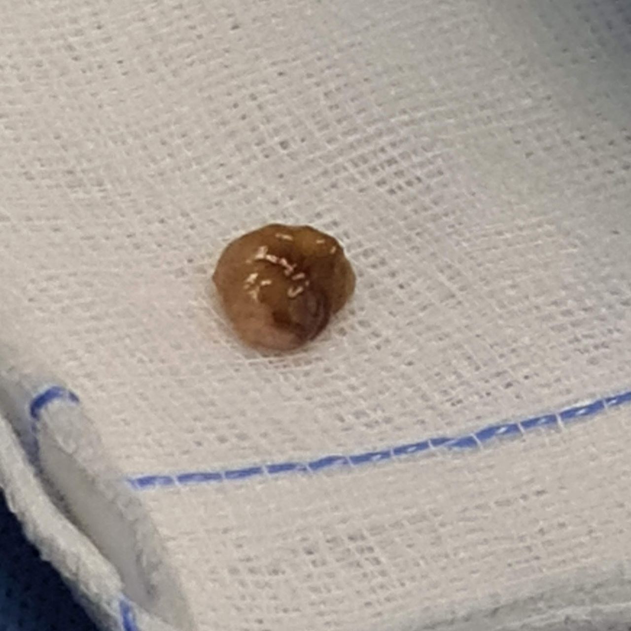 David Tafur Muñoz-1300