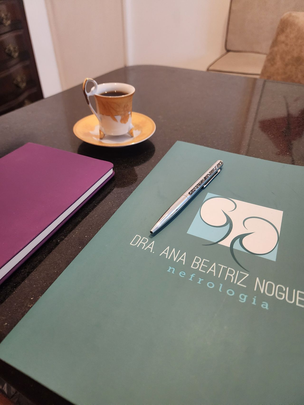 Ana Beatriz Nogueira-3