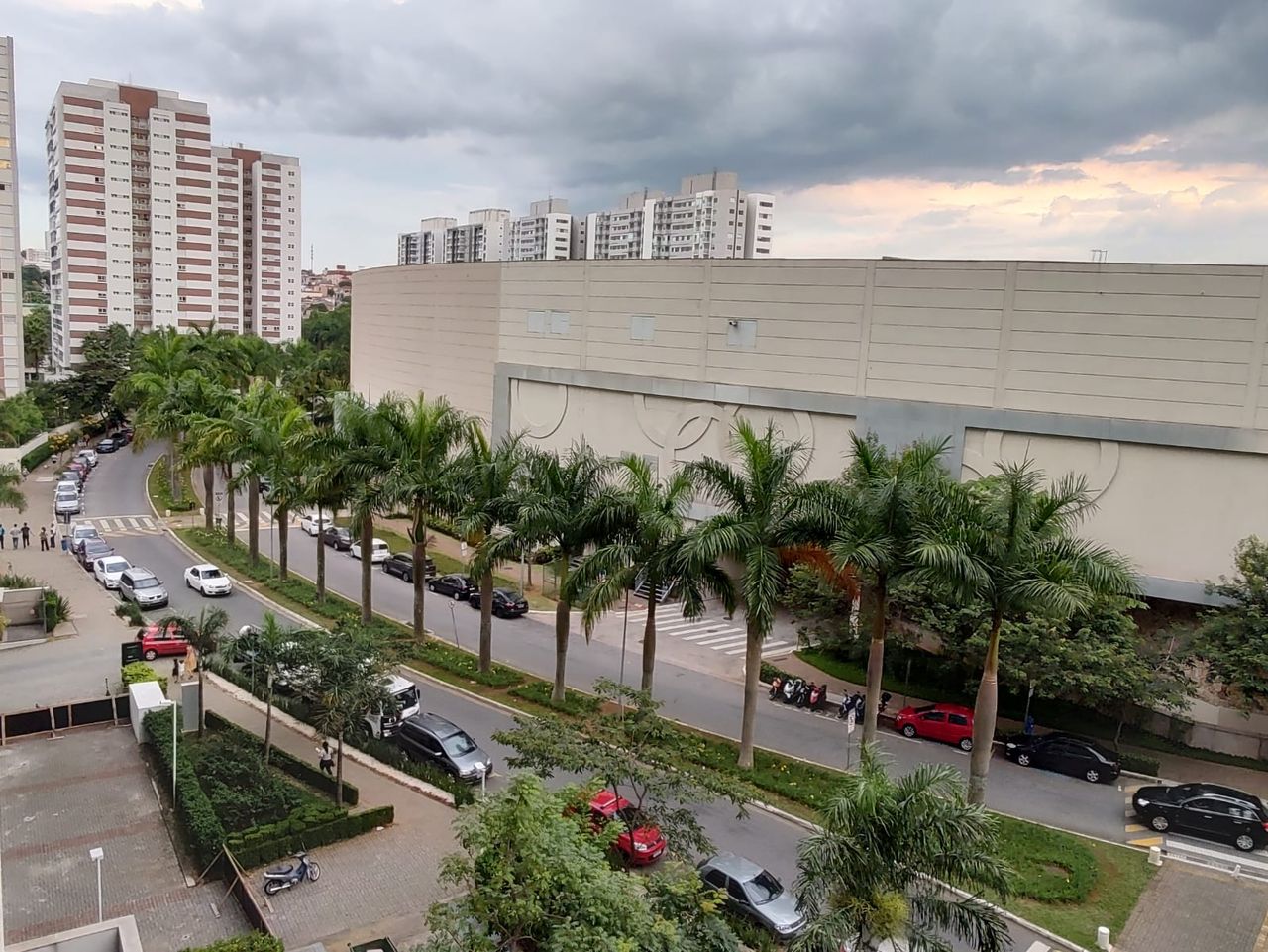 Luciana Pires Zambom-11