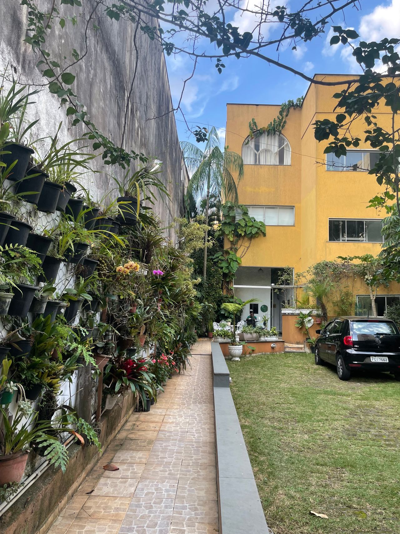 Fernanda De  Paula-4