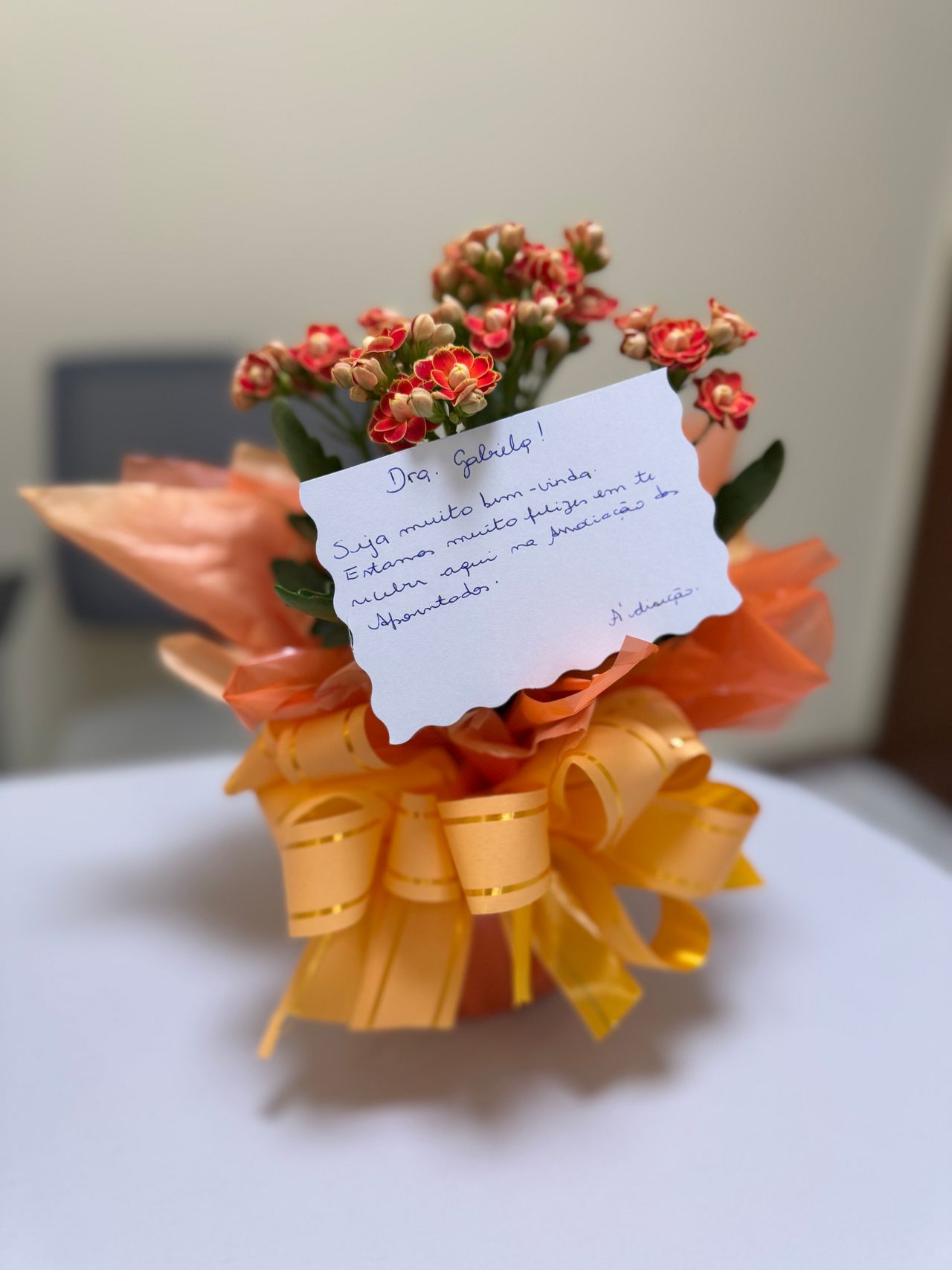 Gabriela Teixeira Da Silveira-2