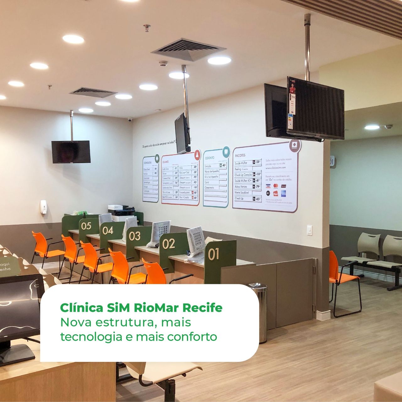 Aline Quental Callou-9