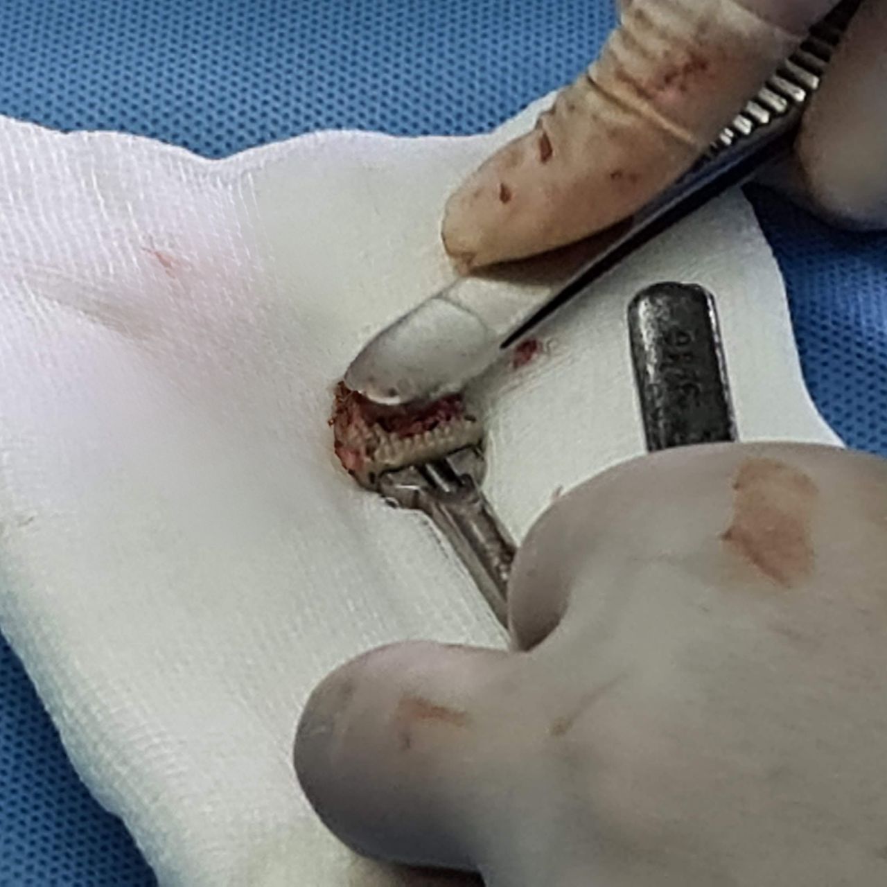 David Tafur Muñoz-1339