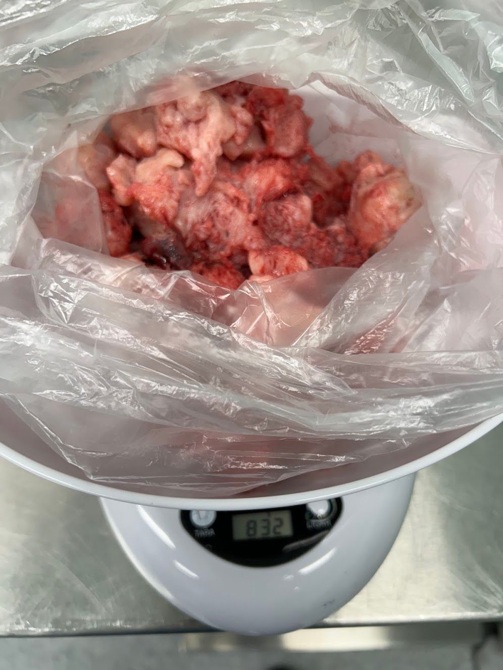 Adalberto Cesario Pereira Junior-33